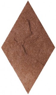 Ромб Paradyz Taurus 14.6x25.2 brown