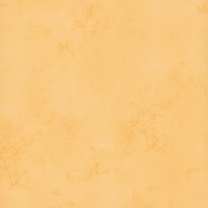 Плитка напольная Rako Tulip 33.3x33.3 Orange GAT3B194 фото