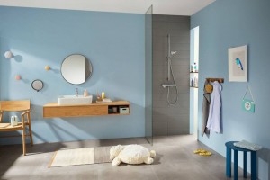 Термостат для душа Hansgrohe Ecostat Е внешнего монтажа 15773000