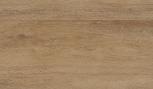 Виниловый пол Wineo 600 DLC00009 Wood Calm Oak Nature фото