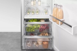 Однокамерный холодильник Liebherr RBsfe 5220 6