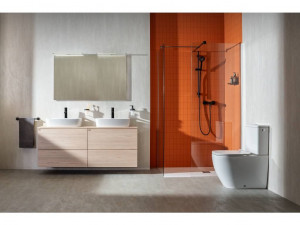 Унитаз-компакт Jika Mio N H826716H829713 пристенный безободковый фото