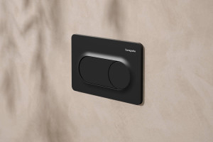 Смывная клавиша hansgrohe iFrame Original S 66002670 черный матовый фото