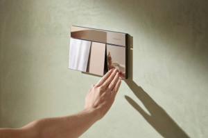 Смывная клавиша hansgrohe iFrame Element E 66003000, хром фото