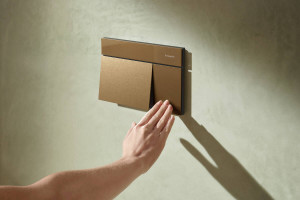 Смывная клавиша hansgrohe iFrame Element E 66003140, бронза шлифованная фото