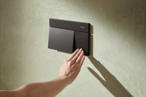 Смывная клавиша hansgrohe iFrame Element E 66003340, черный хром шлифованный фото