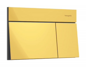 Смывная клавиша hansgrohe iFrame Element E 66003990, золото фото