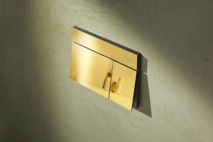 Смывная клавиша hansgrohe iFrame Element E 66003990, золото фото