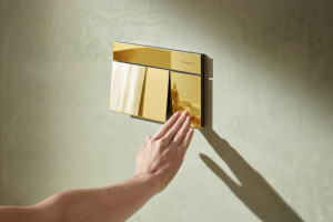 Смывная клавиша hansgrohe iFrame Element E 66003990, золото фото