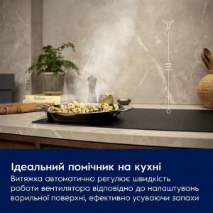 Вбудована витяжка Electrolux LFG716R 54 см фото