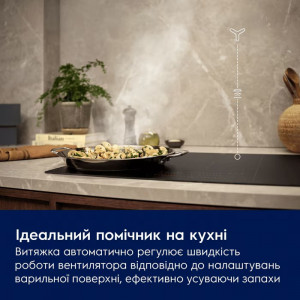 Вбудована кухонна витяжка Electrolux CFG526R фото