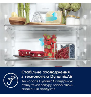 Вбудований холодильник Electrolux LFB3AE12S 121.8 см фото