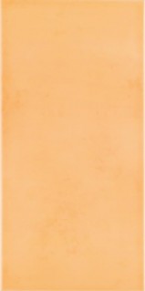 Плитка Rako Tulip 20x40 Orange WATMB021