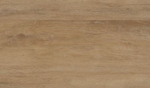 Виниловый пол Wineo 600 DLC00009 Wood Calm Oak Nature