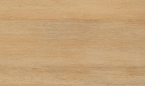 Виниловый пол Wineo 600 DLC00010 Wood Calm Oak Cream