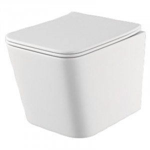 Унитаз подвесной Rivera BORNEO Rimless + сидение soft-close B0049RQS