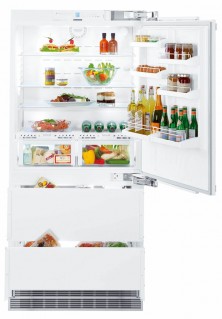 Холодильник встраиваемый Liebherr ECBN 6156